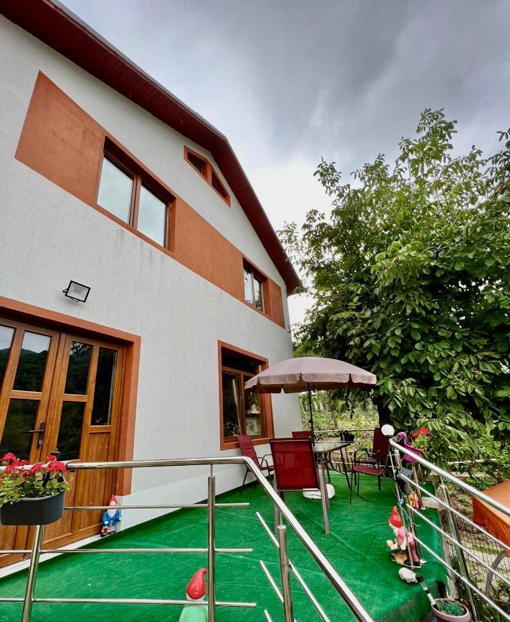 Villa Casa Camelia Nehoiu Exterior foto