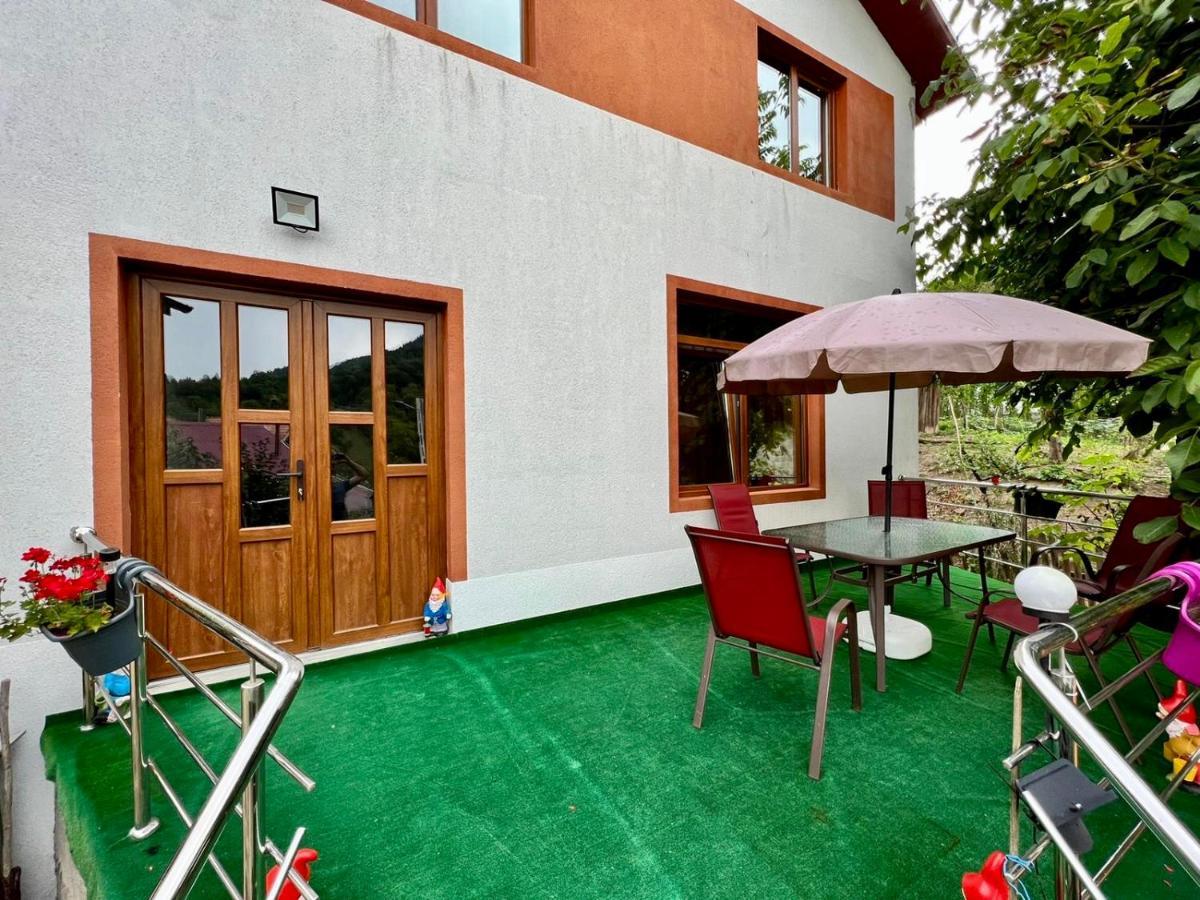 Villa Casa Camelia Nehoiu Exterior foto