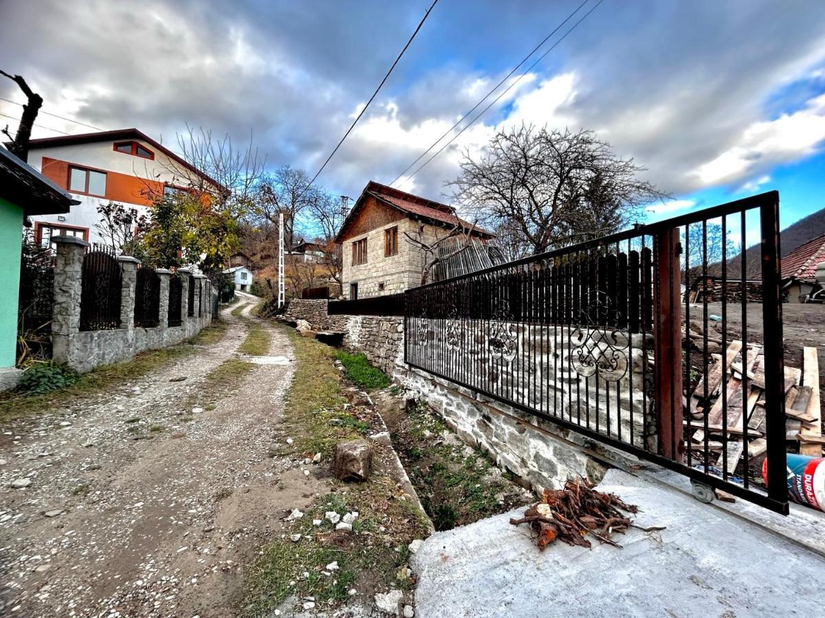 Villa Casa Camelia Nehoiu Exterior foto