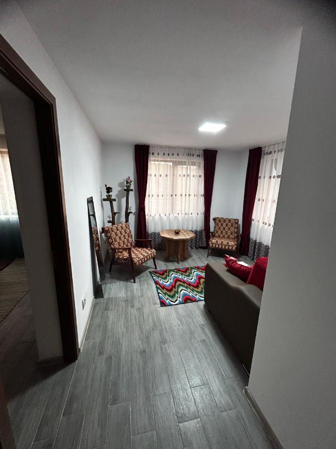 Villa Casa Camelia Nehoiu Exterior foto