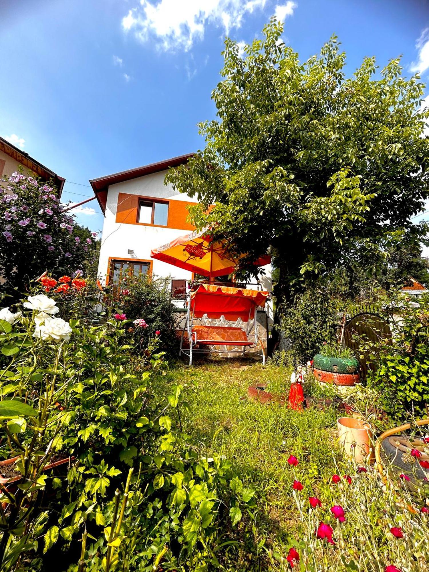 Villa Casa Camelia Nehoiu Exterior foto