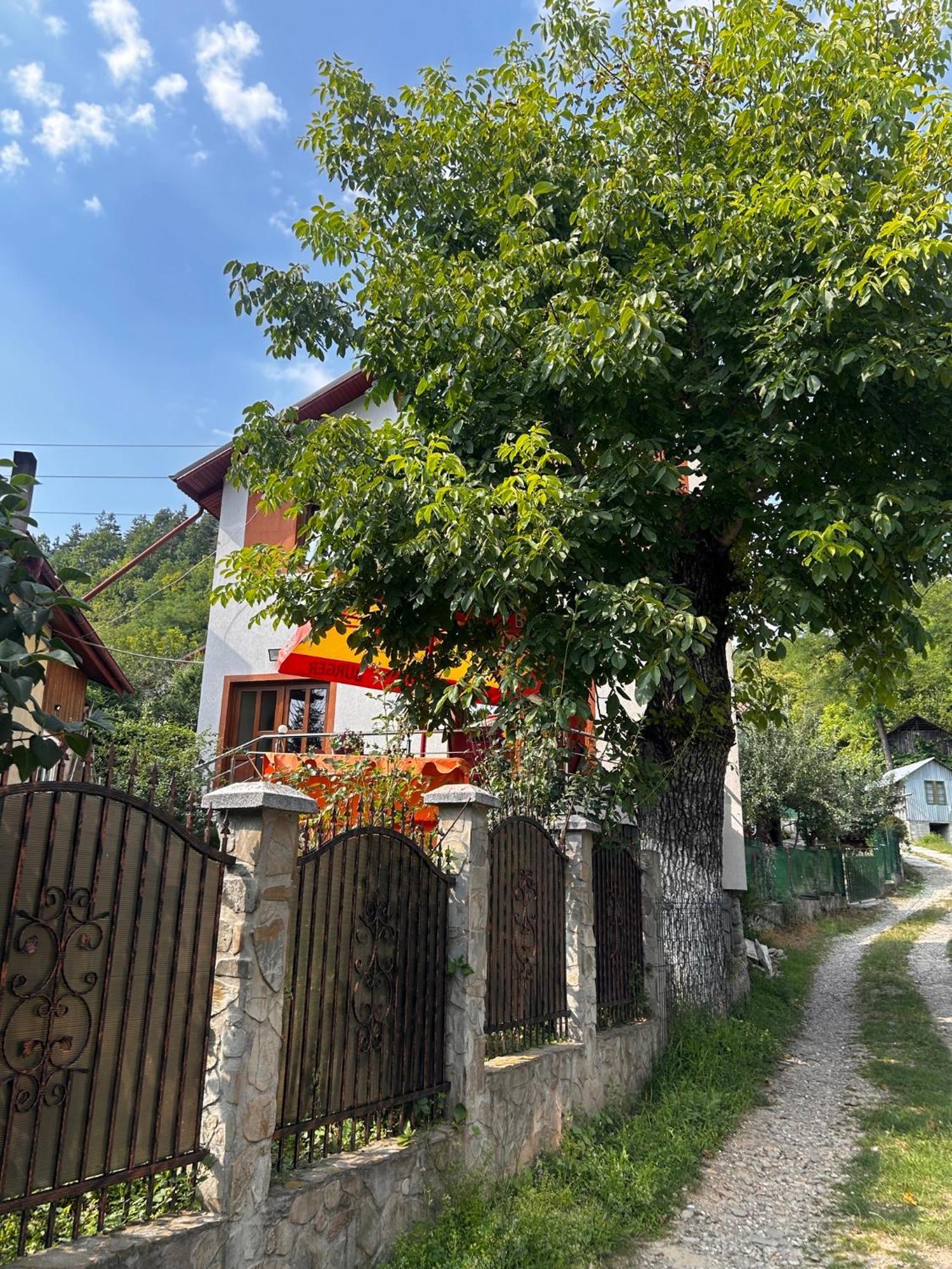 Villa Casa Camelia Nehoiu Exterior foto